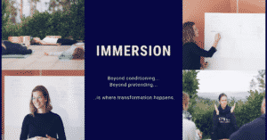 An Immersion Experience